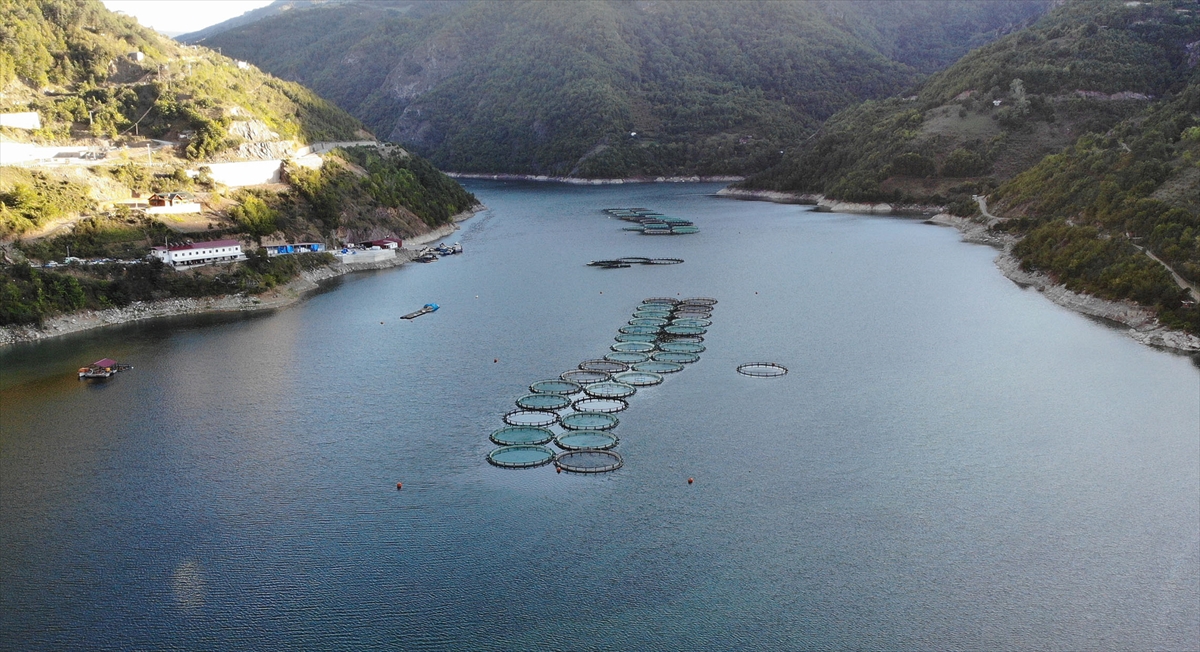 Tesislerde incelemelerde bulunan İl Tarım ve Orman Müdürü Dursun Okur, gazetecilere yaptığı açıklamada, Artvin`de kafes balıkçılığının gelişmeye devam ettiğini söyledi.