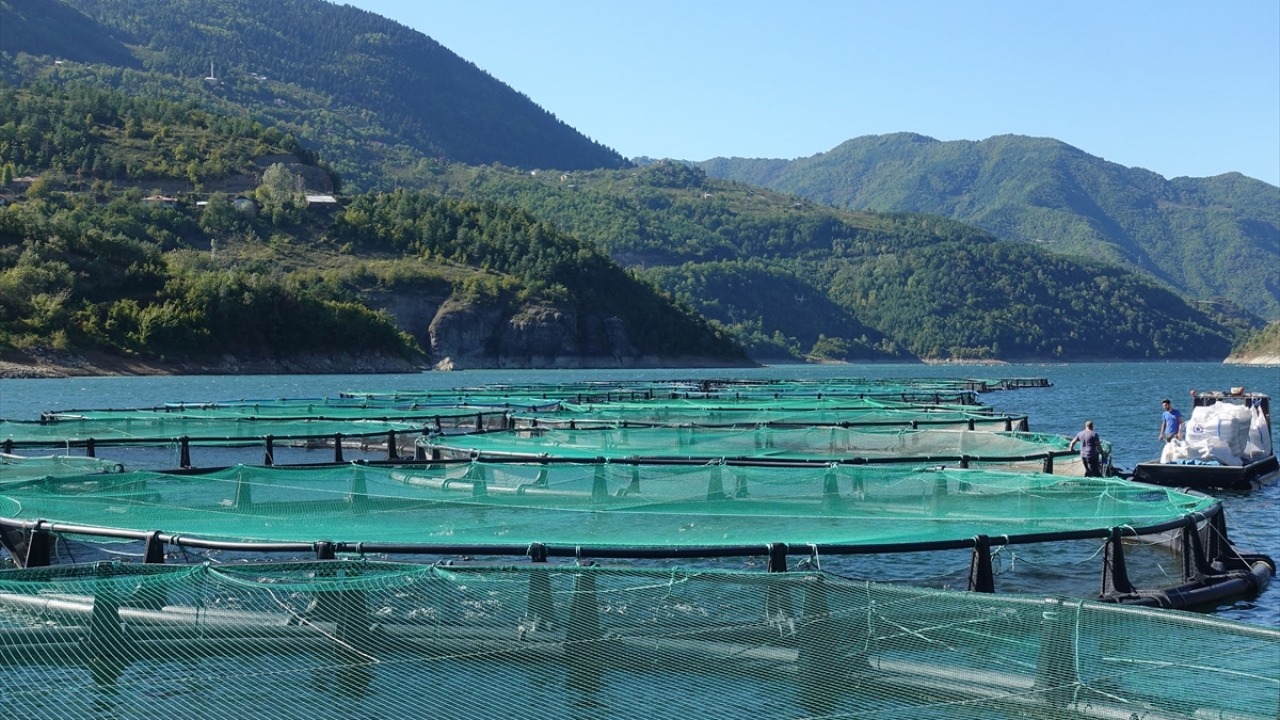 Okur, üretilen balık kalitesinin Artvin`deki baraj göllerine ilgiyi artırdığını ve bunun sonucu olarak yoğun tesis kurma talebiyle karşılaştıklarını söyledi.