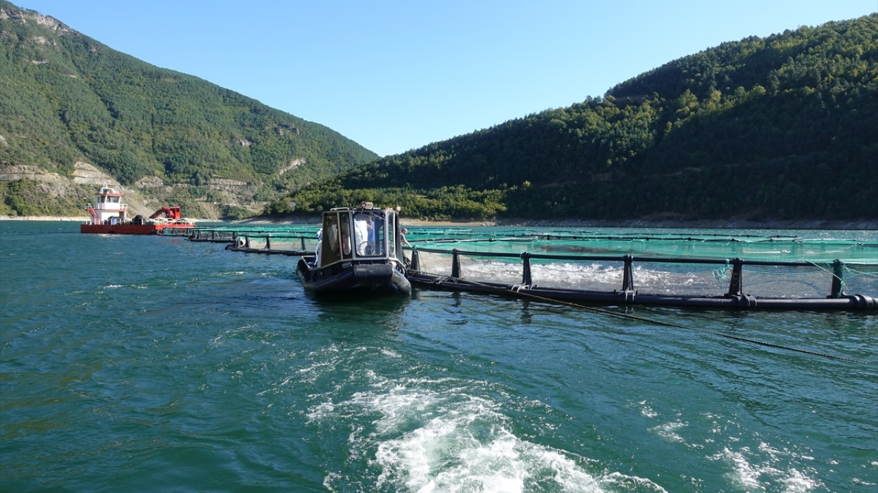 Tarım ve Orman Bakanlığı Araştırma Enstitüsü tarafından Deriner Barajı gölünde de balık yetiştiriciliği yapılabilmesi için yürütülen çalışmada sona gelindiğini belirten Okur, şunları kaydetti: