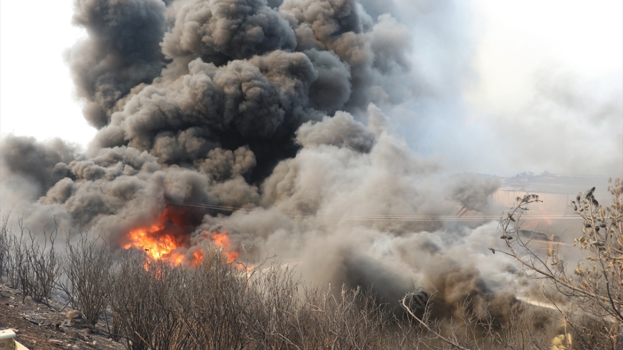 Belen ilçesi Sarımazı Mahallesi`ndeki ormanlık alanda dumanların yükseldiğini gören vatandaşlar durumu yetkililere bildirdi.