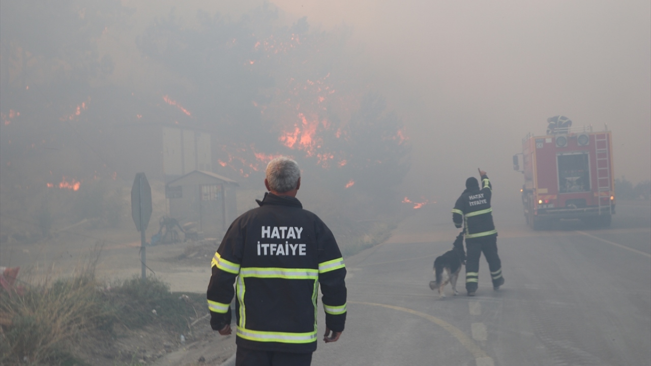 İhbar üzerine Kahramanmaraş Orman Bölge Müdürlüğü ekiplerince bölgeye helikopter, arazöz, su tankı ve dozer yönlendirildi.