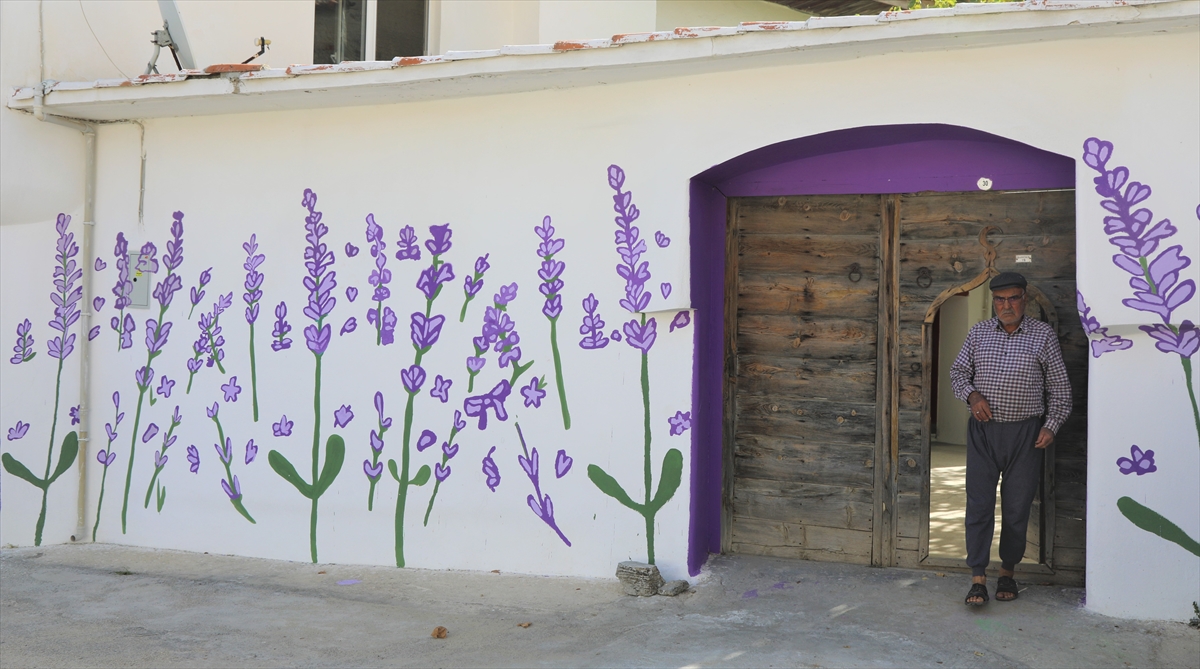 Lavanta tarlalarına ilginin artması amacıyla gerçekleştirilen ve yaklaşık bir ay süren boyama çalışmalarının sonunda, mahallenin duvarları ziyaretçilere görsel şölen sunmaya başladı.
