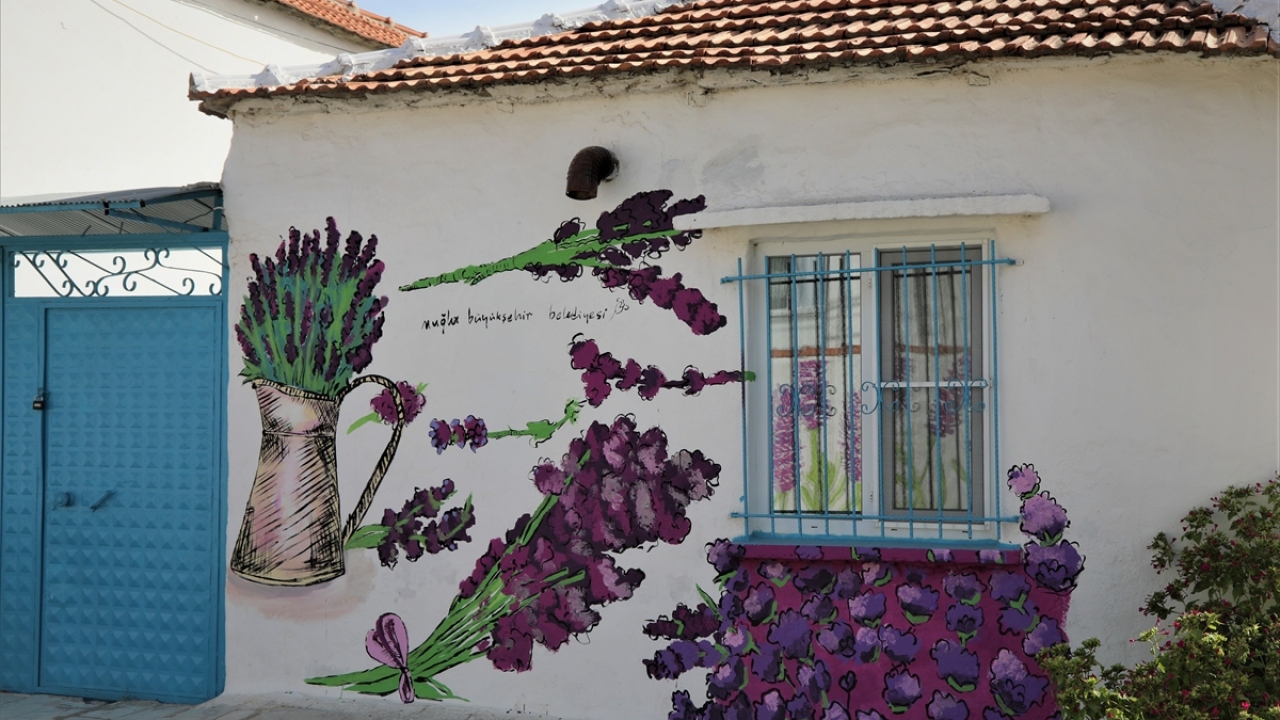Yürütülen çalışmalarla köylerinin daha güzel tanıtılacağını belirten Öçalan, "Duvarlara çizilen lavanta figürlerinden dolayı insanlar memnun. Lavanta tarlamıza gelen ziyaretçilerimiz oldu." dedi.