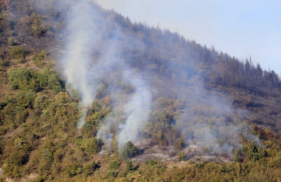 Trabzon'da ormanlık alana sıçrayan yangına müdahale ediliyor