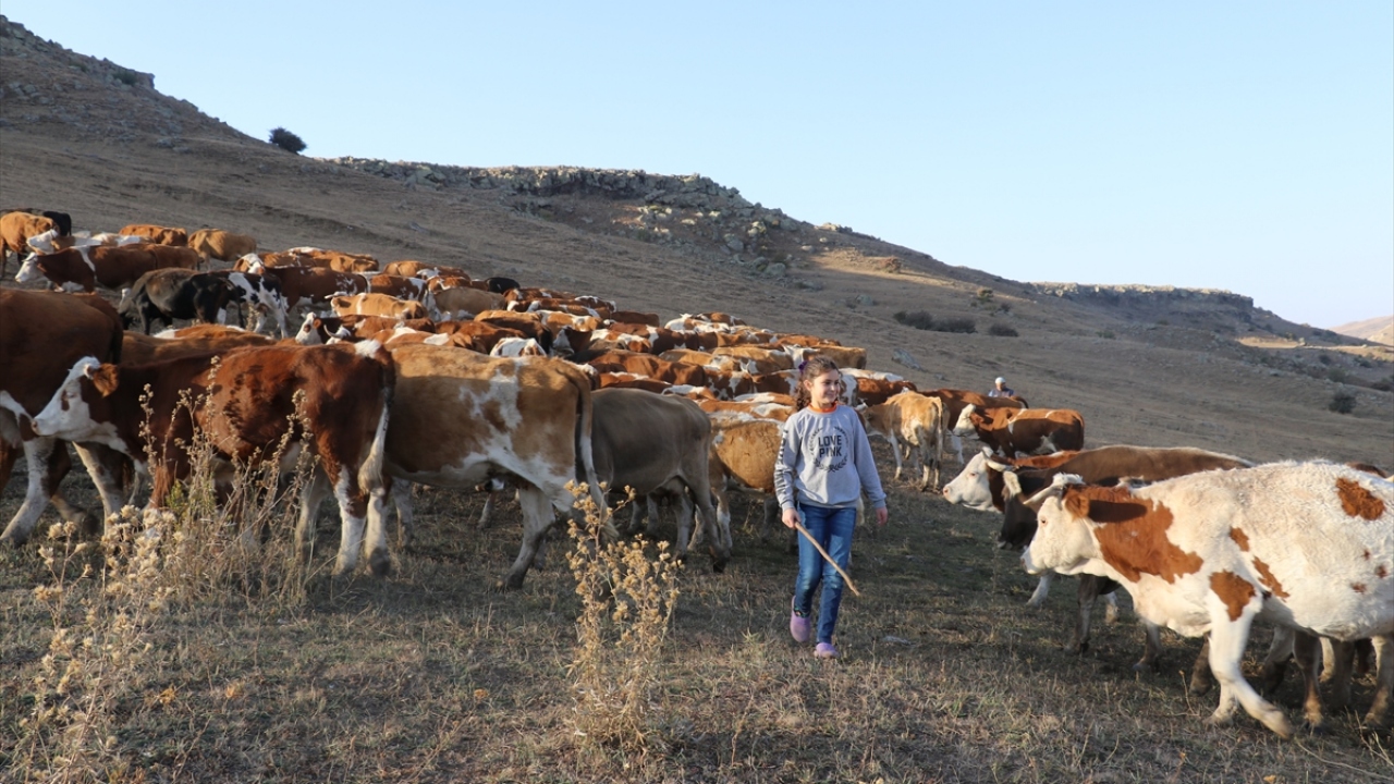 Türkiye`de sahip olduğu büyükbaş ve küçükbaş hayvan varlığı bakımından önde gelen illerden Ağrı, ilkbaharda karların erimesiyle bölge illerden hayvancılıkla geçimini sağlayan çok sayıda göçer aileyi ağırlıyor. 