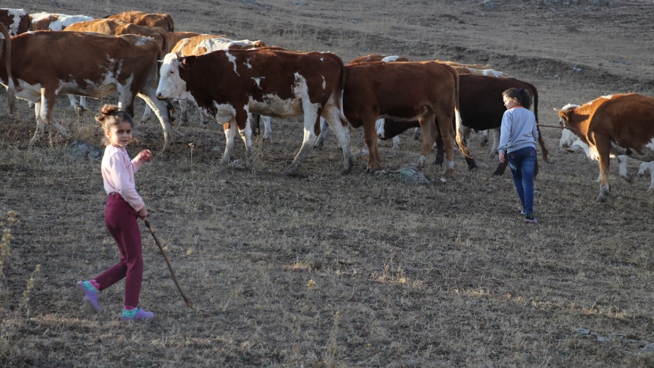 Baba Mehmet Kızılay, kızlarının okumayı çok sevdiğini ve yaylada da eğitimlerinden geri kalmadıklarını söyledi. 