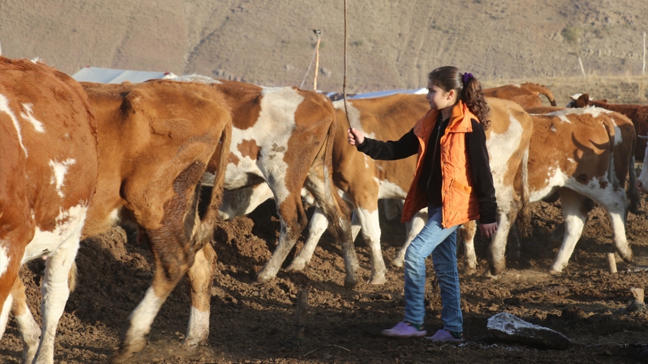 Eğitimini aksatmayan Bediha Kızılay da yaylada hayatın güzel olduğunu ve zaman zaman koşulların kendilerini zorladığını belirtti. 