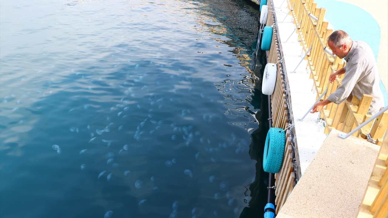 Endişeye gerek yok"