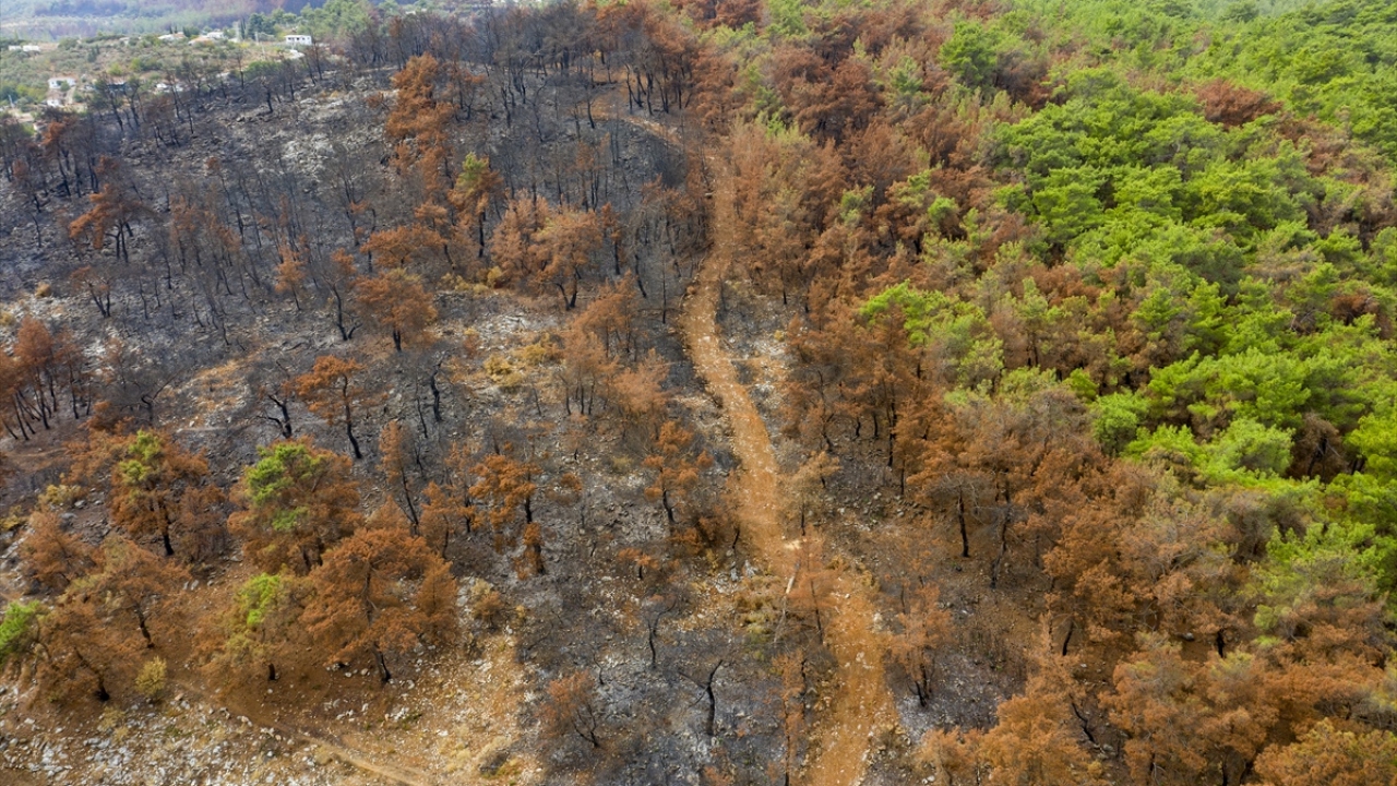 Kadastro ekipleri, yanan alan ölçümünün ardından sahanın yol şebekesi ve alevlerin atlamasını önlemek için yapılan yangın emniyet yollarının planlamasını gerçekleştirdi.