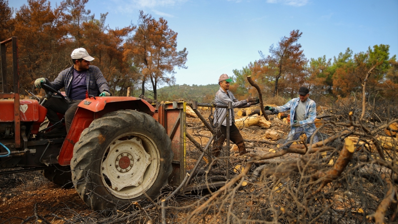 İzmir ve Manisa`da 261 orman yangınına müdahale edildi