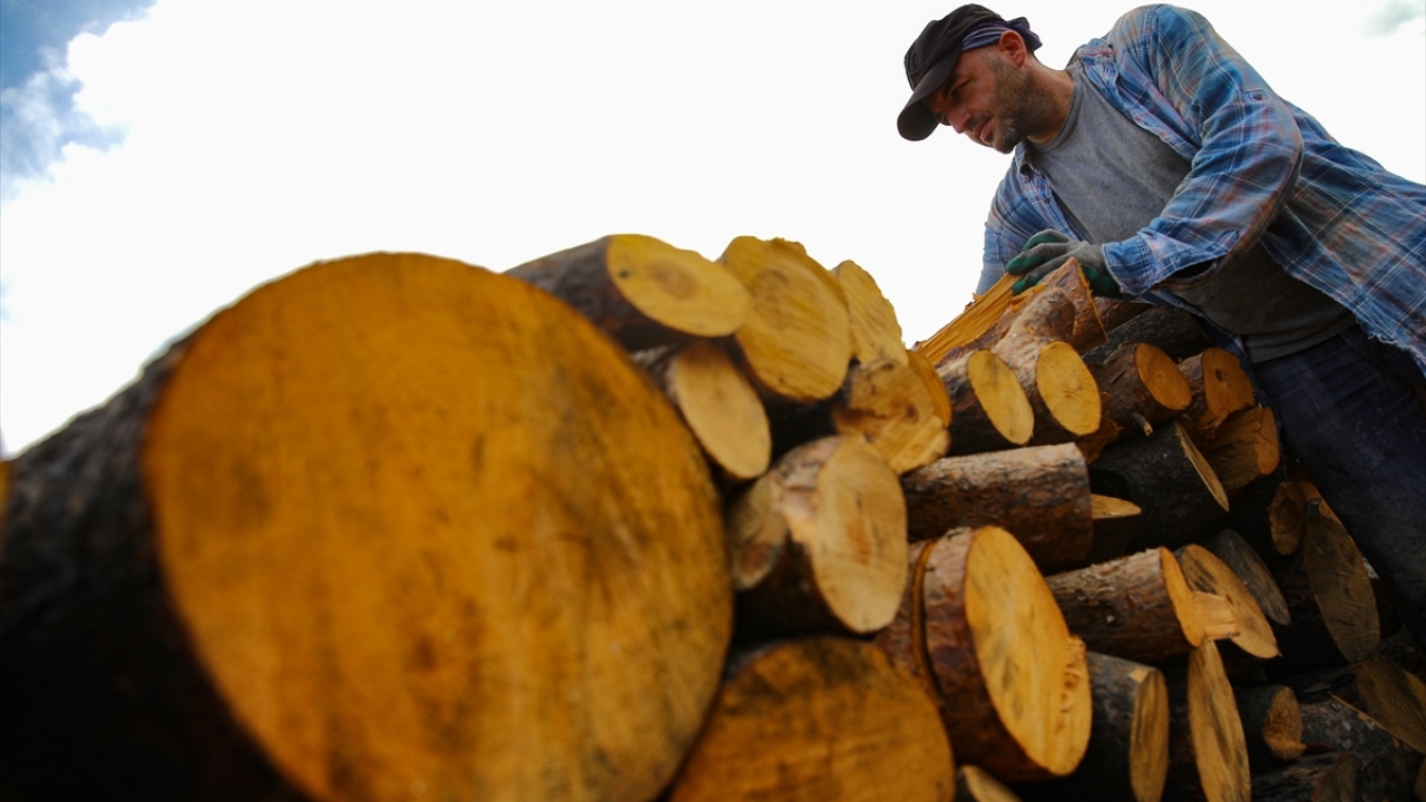 İzmir`in Menderes ilçesine bağlı Çile Mahallesi`nde, 2 Ağustos`ta başlayan ve 22 saat sonra kontrol altına alınabilen yangın da 430 hektar alanda etkili oldu.
