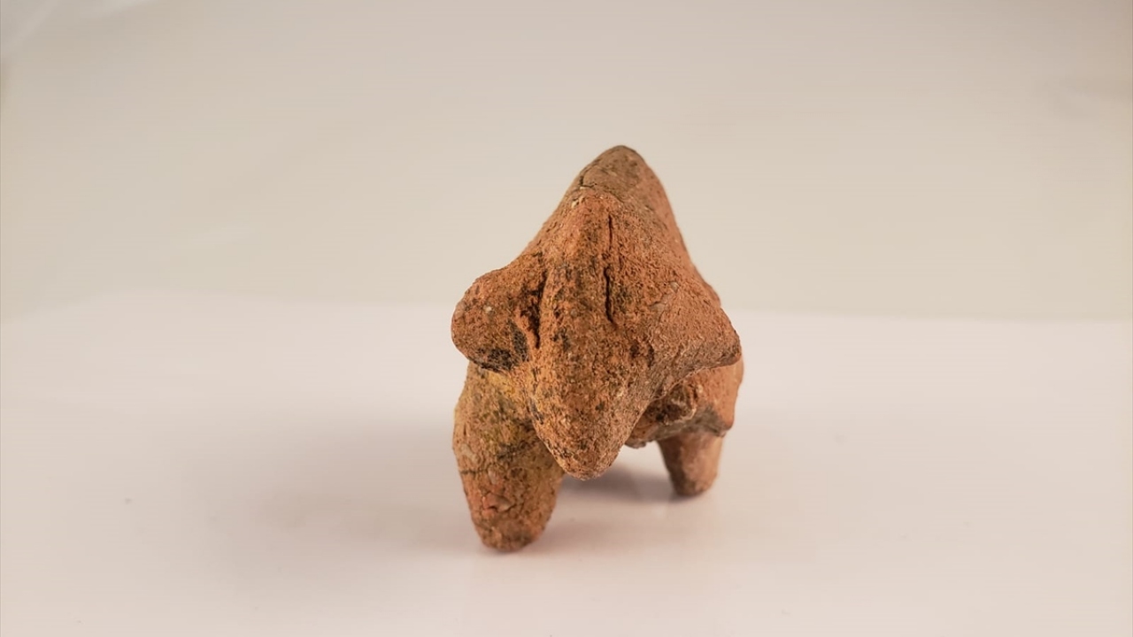 Pektaş, bu yıl kazı çalışmalarının en önemli buluntularının özellikle Türk ve Roma dönemlerine ait çocuk oyuncakları olduğunu belirterek, şöyle konuştu: