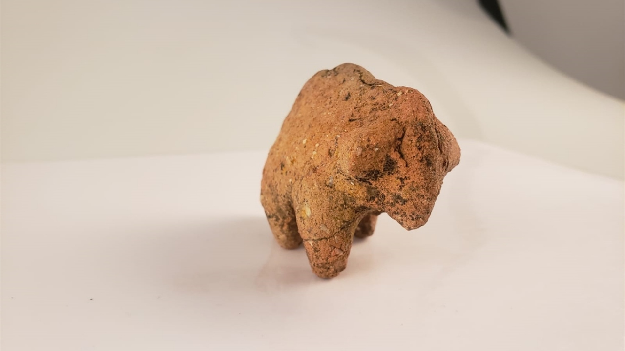 Kazı çalışmalarında ortaya çıkan oyuncakların büyük bölümünün özellikle Roma ve Türk dönemine ait olduğuna değinen Pektaş, bu oyuncakların çeşitliliğinin ise bölgedeki zenginlikle ilgili olduğunu ifade etti.