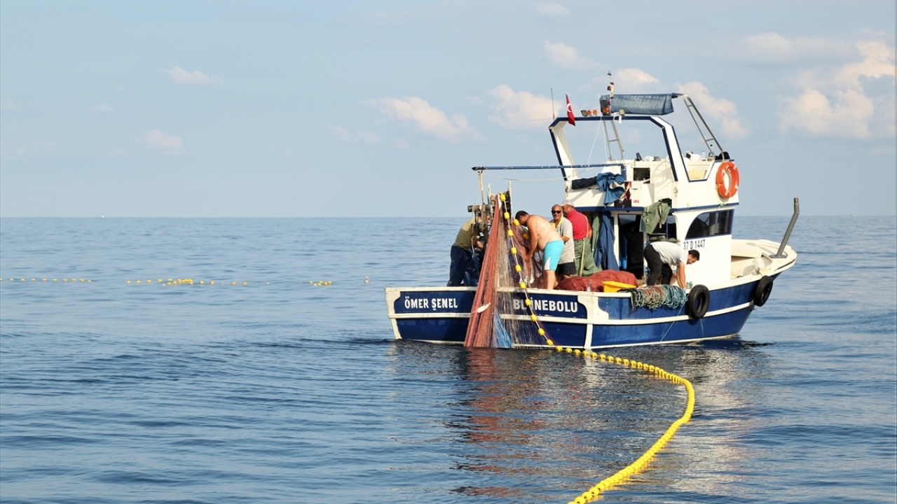Doğu Karadeniz`den teknelerin de avlanmak için geldiği bölgede, irili ufaklı birçok kayık, palamut başta olmak üzere diğer balıkların izini sürüyor.