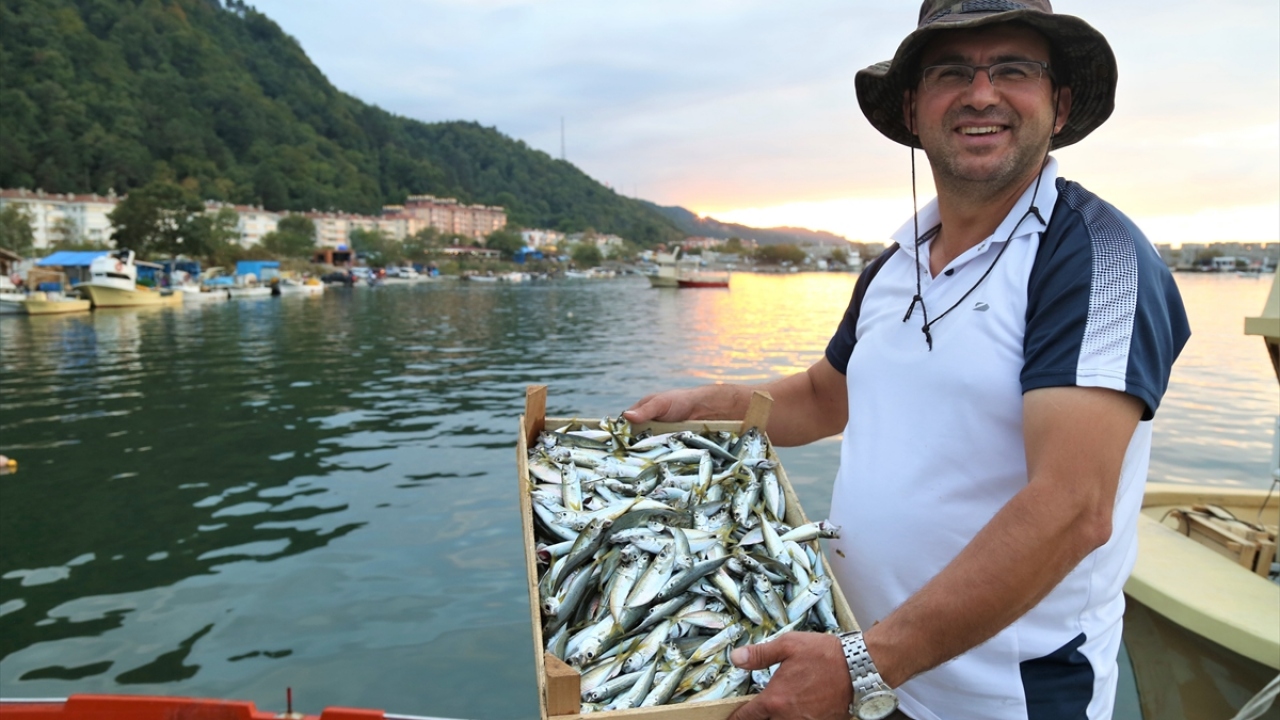 Avlanan balıkçılardan Yalçın Yıldız, yaptığı açıklamada, denize açılan teknelerin barınağa boş dönmediğini belirtti.