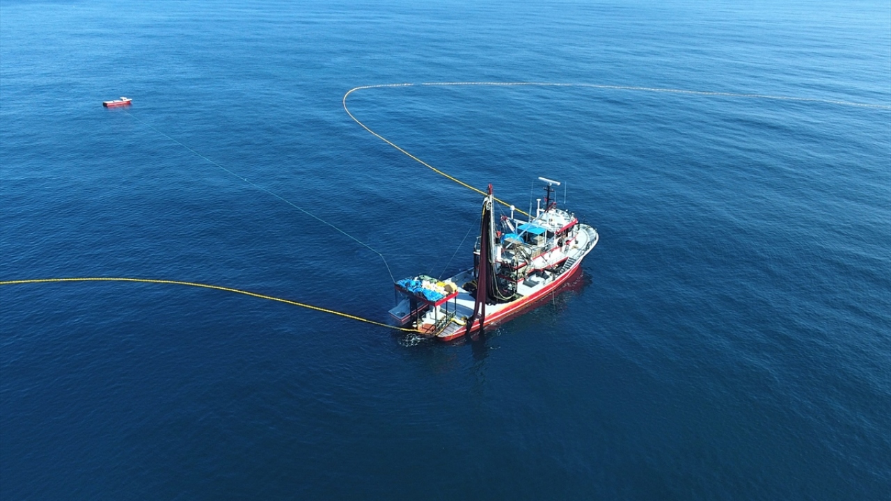Ağlara takılan palamutlar, balıkçı barınaklarında kasalara yerleştirilerek tezgahlara gönderiliyor.