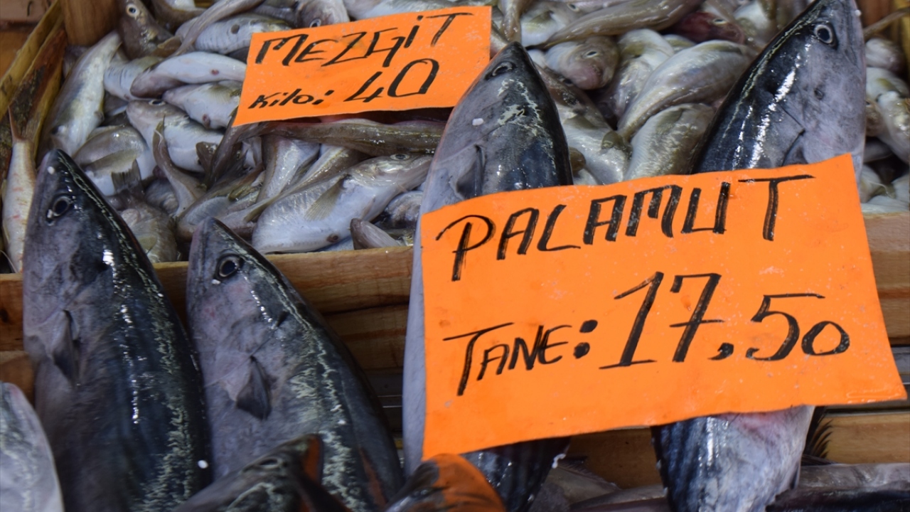 Olumsuz hava koşullarının balık fiyatlarını etkilediğini dile getiren Kara, "Palamut geçen hafta 10 liraydı tezgahta. Fiyat kademeli olarak çıktı. Tezgahta iki gündür tanesi 17,5 lira." dedi.
