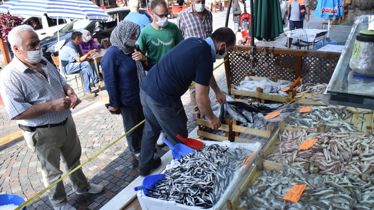 Balıkçı Sadık Kara, yaptığı açıklamada, palamudun Doğu Karadeniz`e yöneldiğini ve gırgırlarla balık avlanamadığını söyledi.
