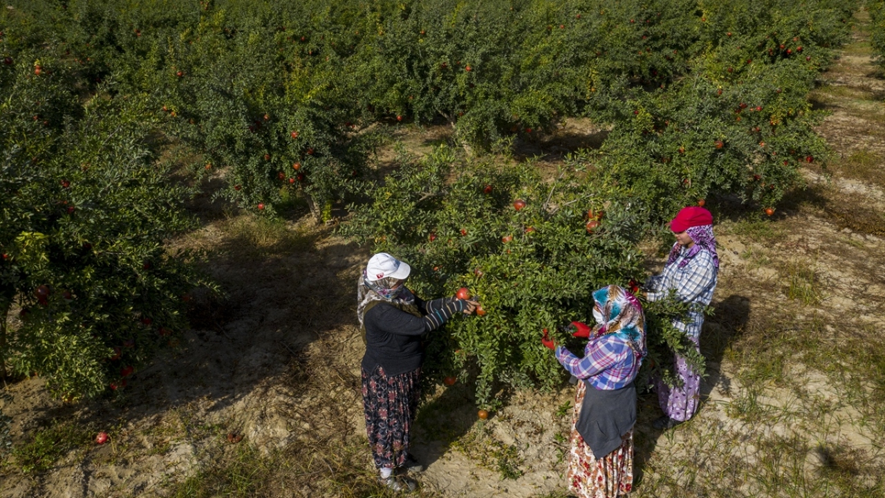 Bu yılın ocak-eylül döneminde ise ihracat, geçen yılın aynı dönemine göre yüzde 37 artarak 43 milyon 456 bin dolardan 59 milyon 402 bin dolara çıktı.
