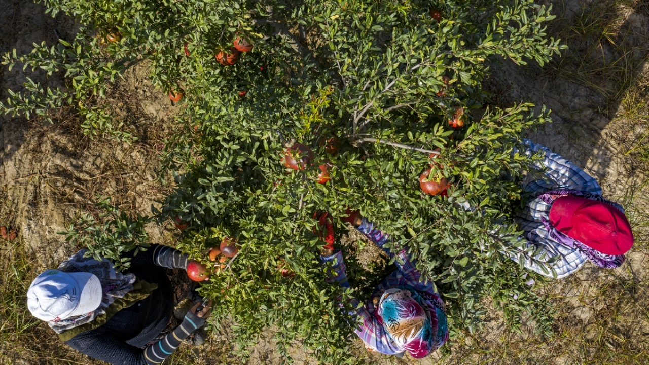 İhracata pandemi etkisi