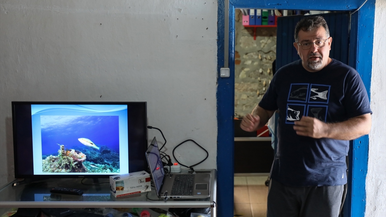 Aralarında doktor, mühendis, iş insanı gibi farklı meslek grubundan 15 kişiye "Su altında balık fotoğrafı nasıl çekilir" konulu teorik bilgiler verildi. 