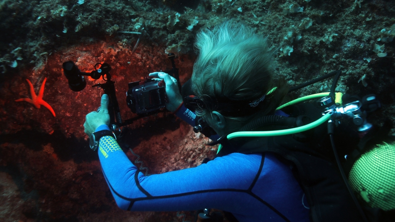 İmbat Su Altı Görüntüleme Merkezi sahibi Bülent Şelli, kendilerini geliştiren dalış tutkunlarının gördükleri güzellikleri kayıt altına alma amacıyla su altı fotoğrafçılığına ilgi duyduklarını söyledi. 