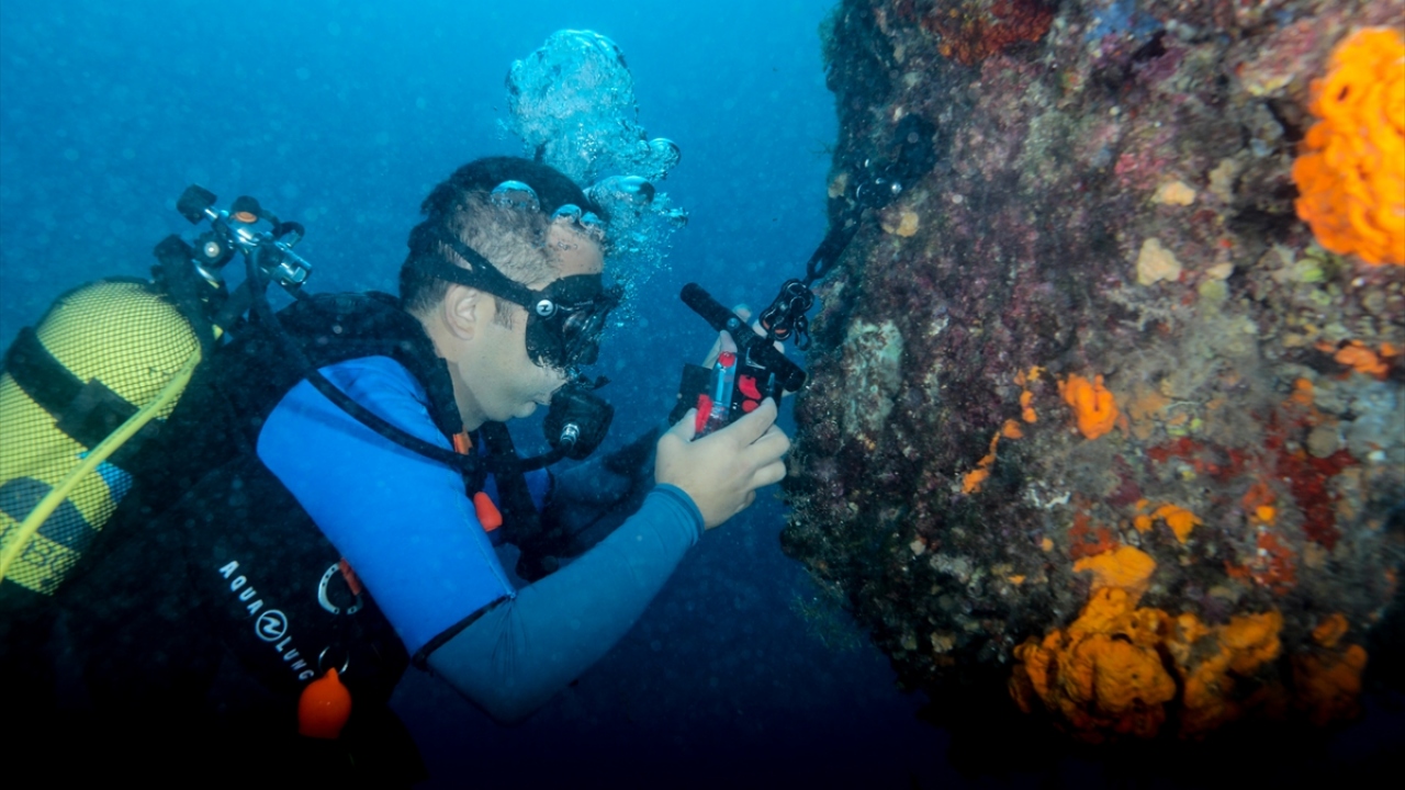 Akdeniz havzasında özellikle dalış turizmi açısından Türkiye`nin yüksek potansiyele sahip olduğunu ifade eden Şelli, su altına gönül verenlerin teknik alet ve ekipmana sahip olmalarının kolaylaştırılması gerektiğini dile getirdi. 