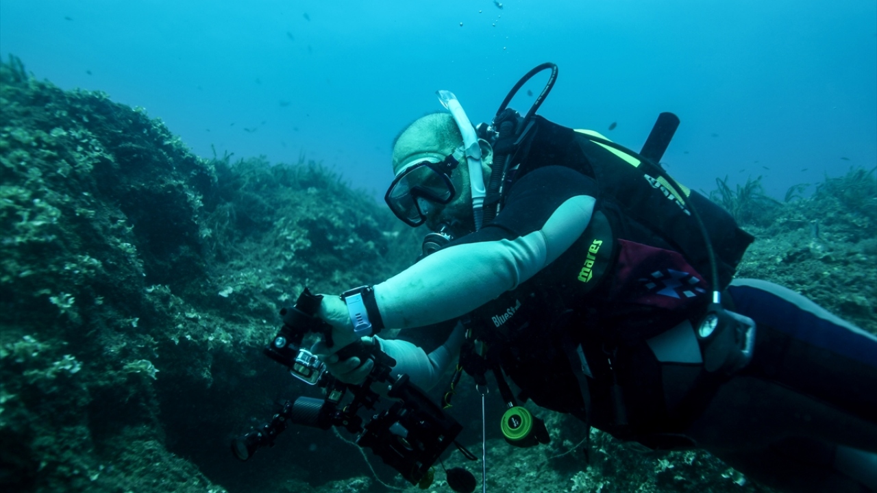 Şelli, yapılan işe sadece "hobi" olarak bakmamak gerektiğine dikkati çekerek, su altında çekilen her görüntünün ve fotoğrafın aynı zamanda tarihe düşülen bir kayıt olduğunu vurguladı. 