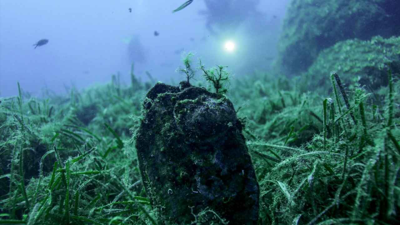 İş insanı Devrim Gür ise Kayseri`de yaşadığını, Karaburun`a su altı fotoğrafçılığı konusunda deneyimlerini artırmak için geldiğini ifade etti.