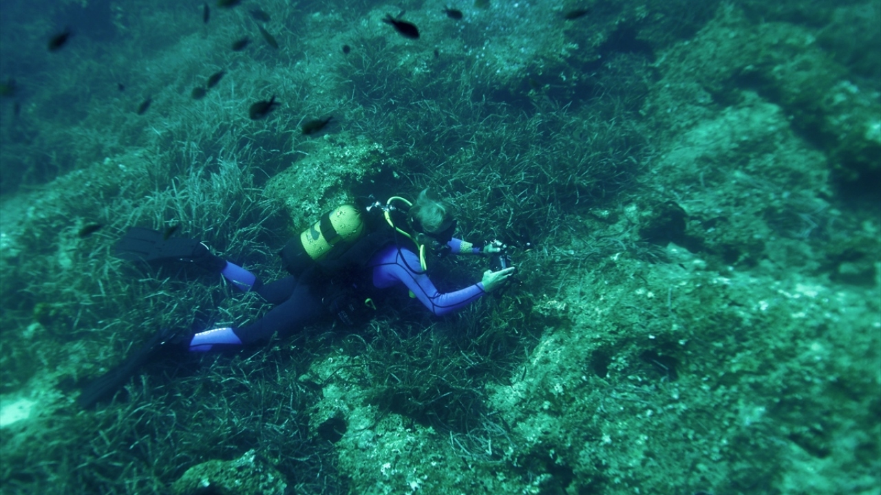 "Müthiş bir keyif"