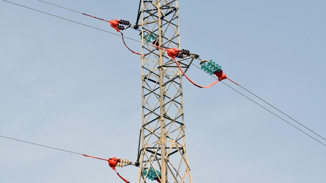 Bölgede, 2012 yılından Şubat 2018`e kadar 14 kelaynak elektrik akımına kapılarak telef oldu.