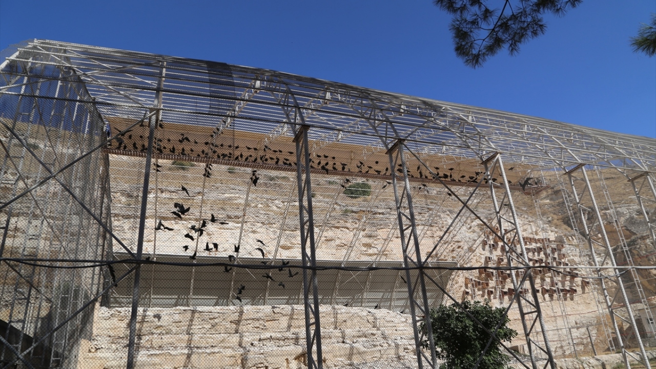 DEDAŞ tarafından 2018`de hayata geçirilen projeyle, Fırat Vadisi`nde yer alan ve kuşların daha çok göç zamanında konup kalktığı elektrik direkleri izole edildi.