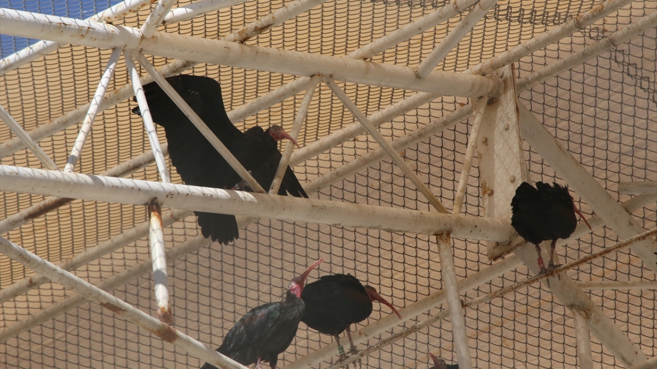 DEDAŞ Genel Müdür Yardımcısı Nedim Tüzün de projenin kapsama alanının genişletilmesi konusunda çalışmalar yürüttüklerini aktardı.