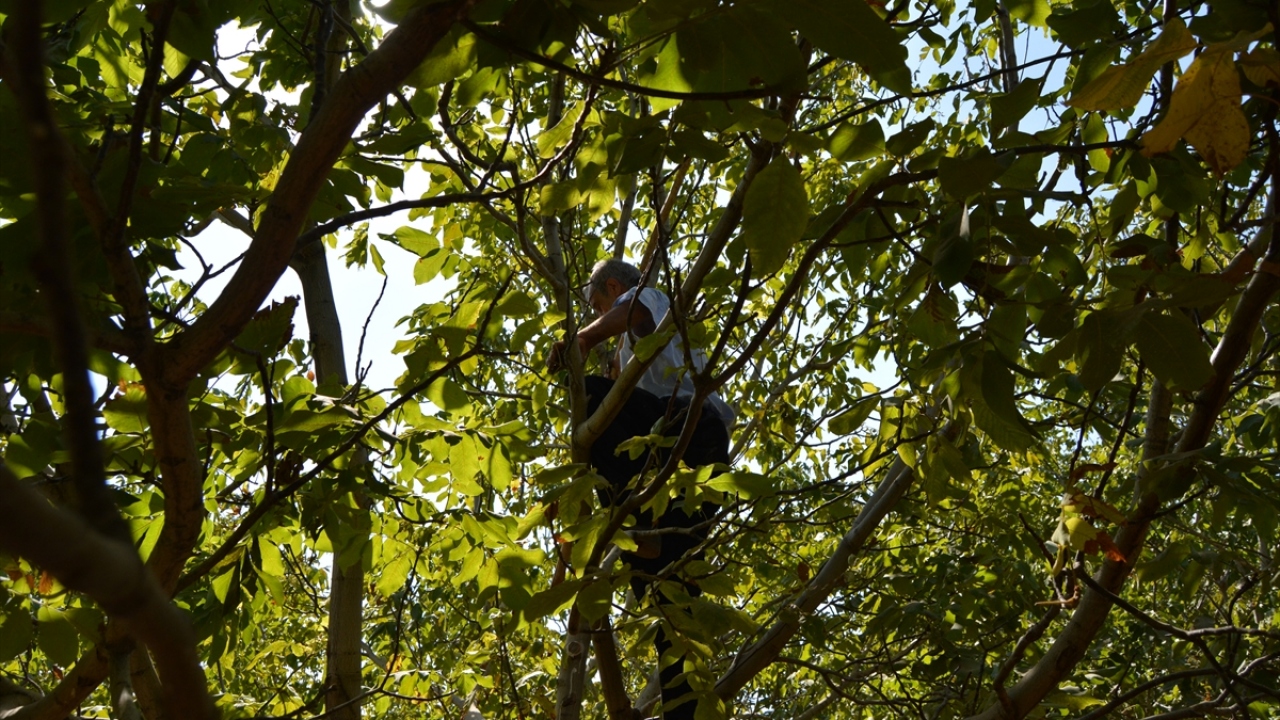 Erdoğan, Amanosların eteğinde doğal kaynak suyu ile suladıkları ürünlerine havanın ve iklimin ayrı lezzet kattığını kaydetti.