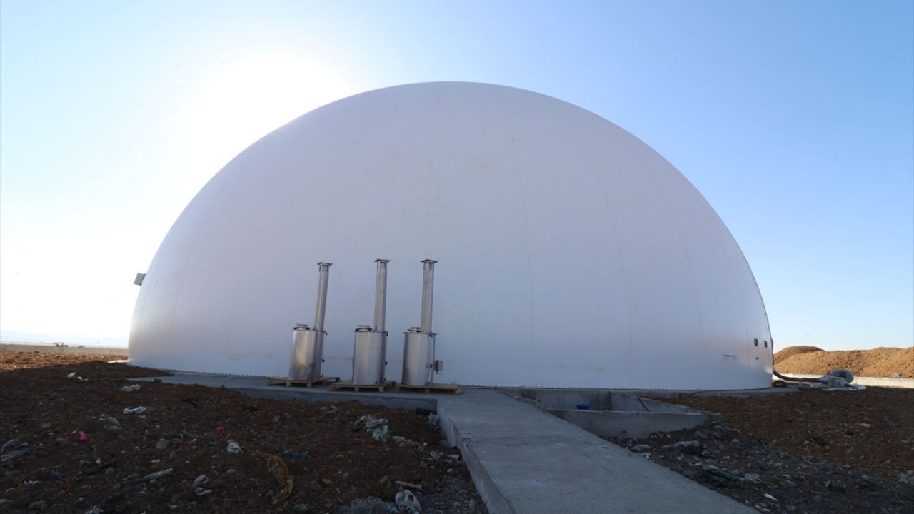 Sayan, şunları kaydetti: