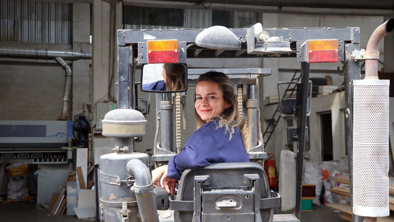 KOSGEB`den 110 bin lira destek alan Elbir, Aydın 1. Sanayi Sitesi`nde kapı imalathanesi dükkanını açtı. İmalathane için gerekli tüm makineleri temin eden Elbir, 3 kişiye de istihdam sağladı.