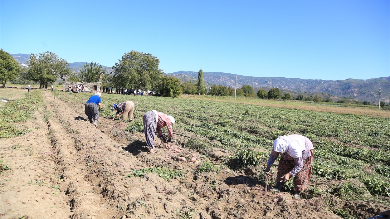 Bir şirketin kurumsal iletişim direktörü olarak görev yapan Sevil Server Koç (50), çocuklarının da sağlığını düşünerek, güvenilir tarım ürünleri tüketmek ve sağlıklı beslenmek amacıyla tarıma yöneldi.