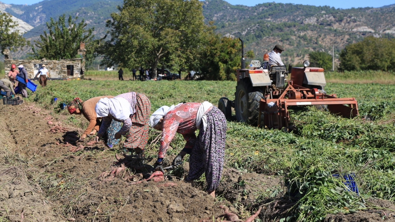 Kaliteli ürün elde ettiğini vurgulayan Koç, "Bu başarıda benimle birlikte çalışan kadınlarımızın payı büyük." dedi.