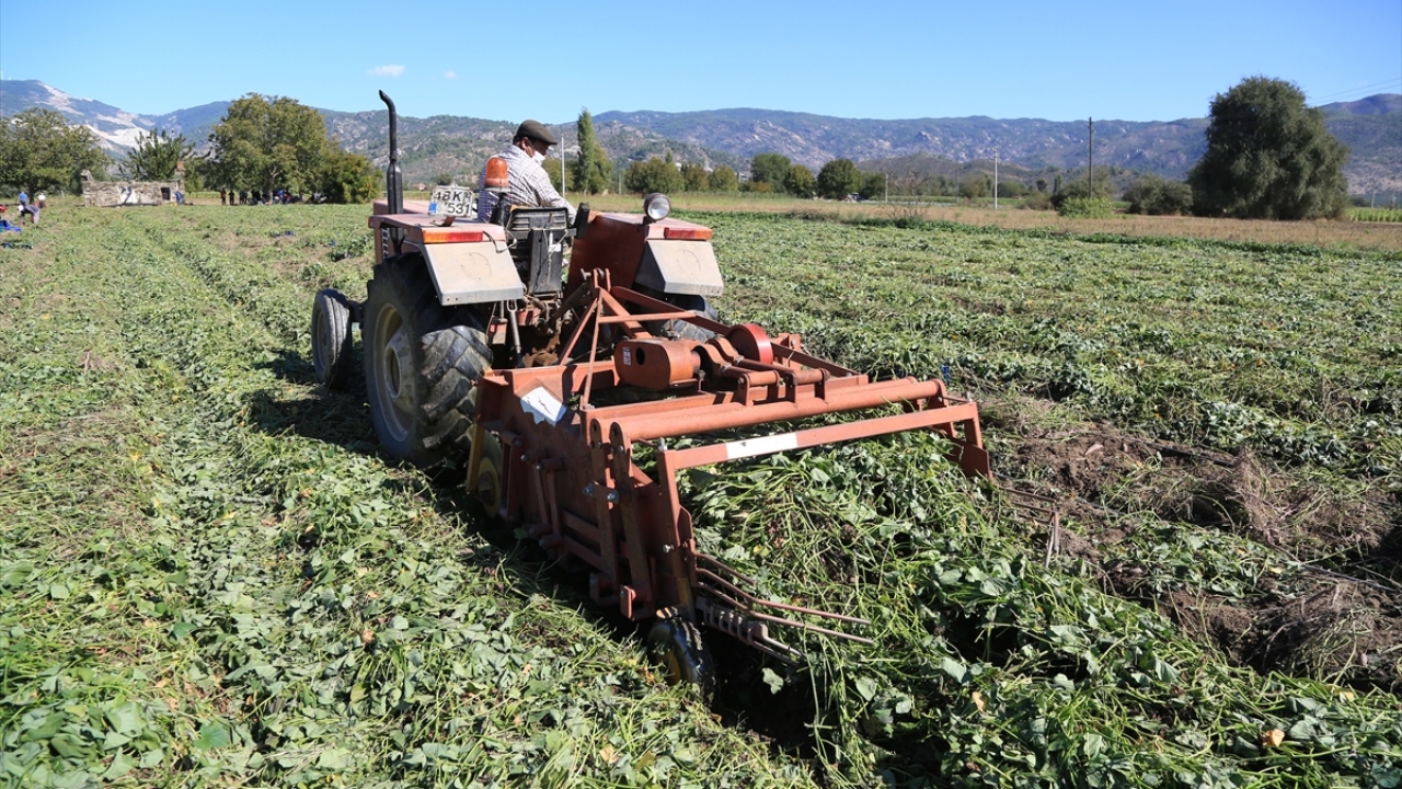 Patatesi üreterek ülkeye katkı sağlamayı amaçladığını belirten Koç, çalıştırdığı işçilerin birçoğunun kadınlardan oluştuğunu kaydetti.
