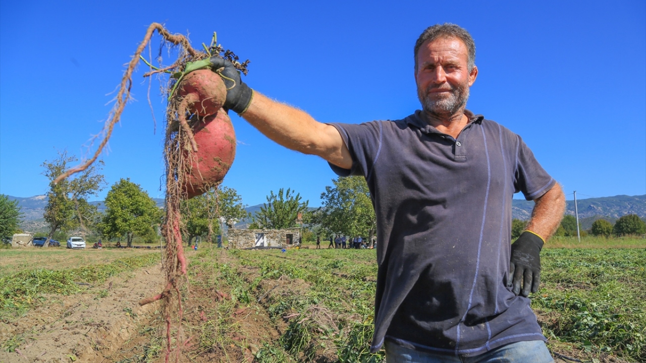Milas Ziraat Odası Başkanı İsmail Atıcı ise kadın girişimciyi tebrik ederek, ilçenin birçok farklı ürünün yetişmesine imkan sağladığını dile getirdi.