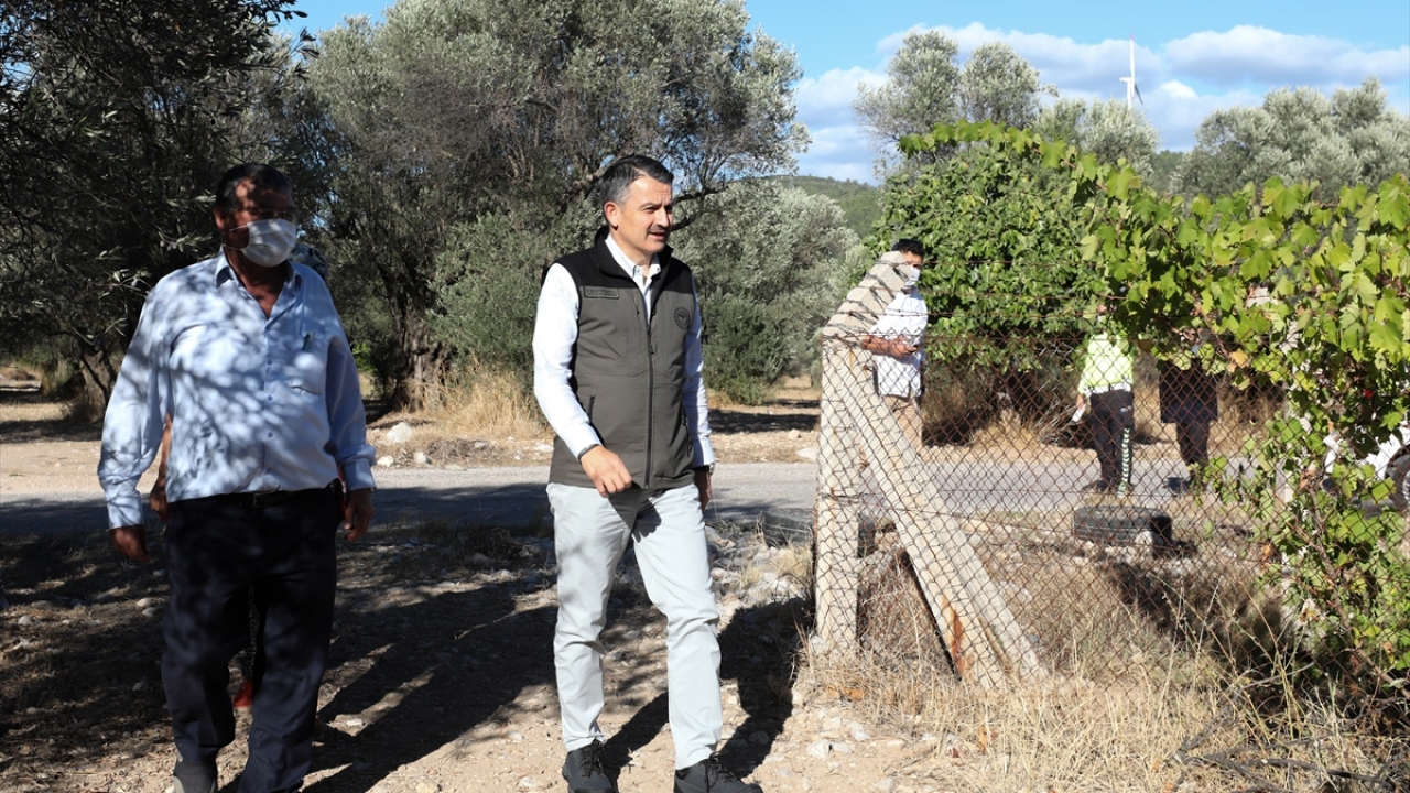 Hasat makinesiyle zeytin toplayan Bakan Pakdemirli, sonrasında kadınlarla sohbet etti. 