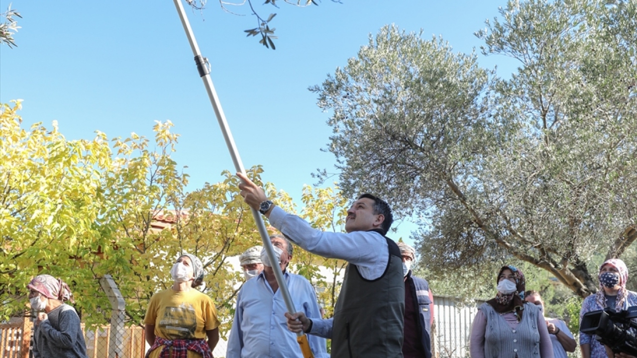 Bakan Pakdemirli, kadın çiftçilerle bir araya geldiği için mutlu olduğunu, Dünya Kadın Çiftçiler Günü`nde onlara "merhaba" demek istediğini vurguladı.