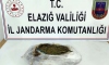 Elazığ'da elbiselerin içine gizlenmiş 2 kilo 250 gram esrar ele geçirildi