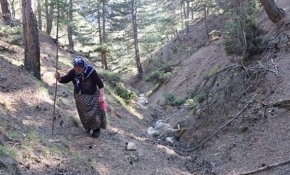 Kurtların saldırısı sonucu telef olan koyunları için gözyaşı döktü