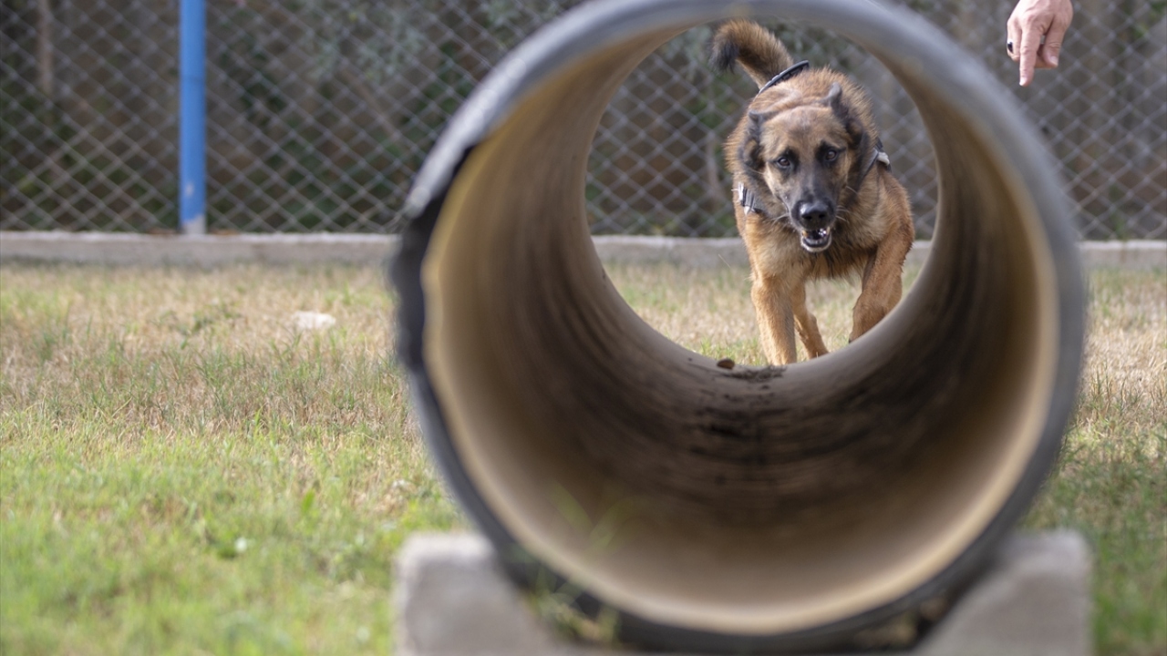 İl Emniyet Müdürlüğü Narkotik Suçlarla Mücadele Şubesi ekipleri, narkotik köpeklerinin de desteğiyle havalimanında görevlerini titizlikle yürütüyor.