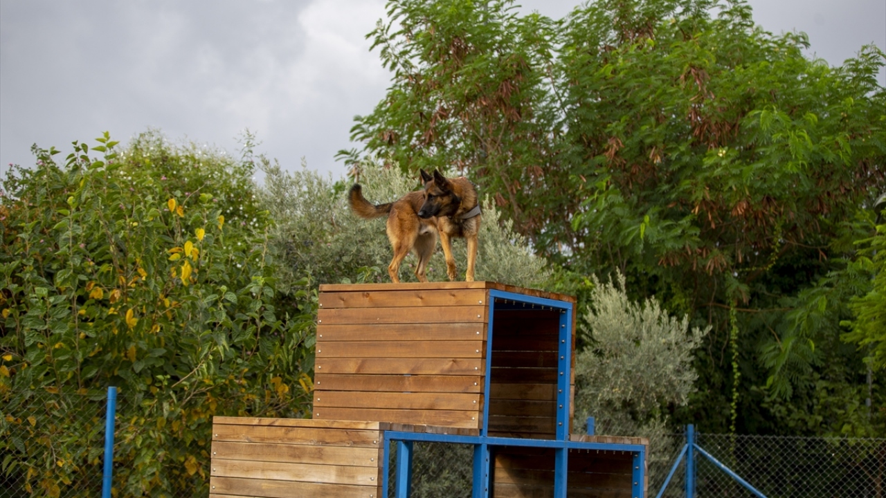 Narkotik ekiplerinin havalimanında sürdürdüğü çalışmalar kapsamında bugüne dek uyuşturucu sevkiyatı için çok farklı yöntemlerle karşılaşıldı.