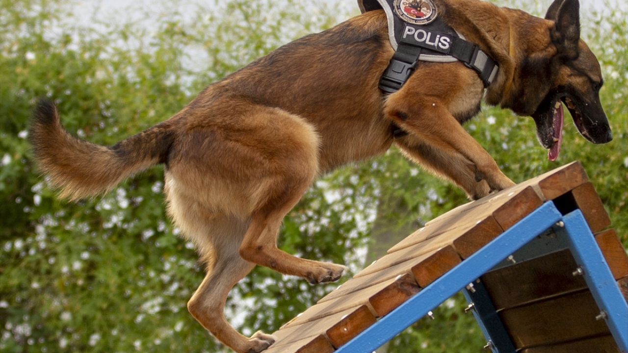 Mide ve bağırsaklarında uyuşturucu bulundu