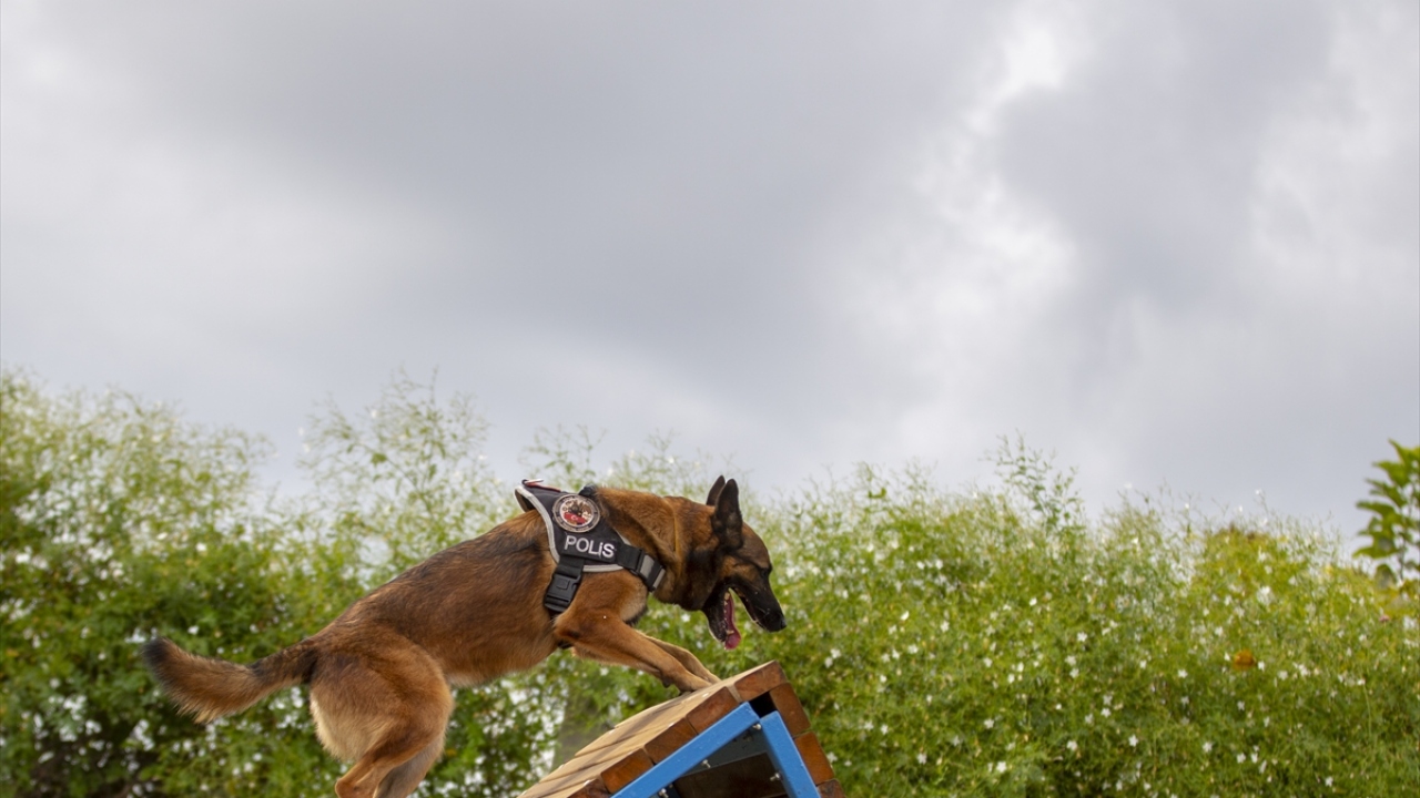 Almanya`dan gelen bir turistin valizinde, şampuan kutusunun içinde 29 gram, başka bir yolcunun valizinde ise ilaç şişesinde ve ekmek içinde gizlenmiş 83 gram esrar bulundu. 