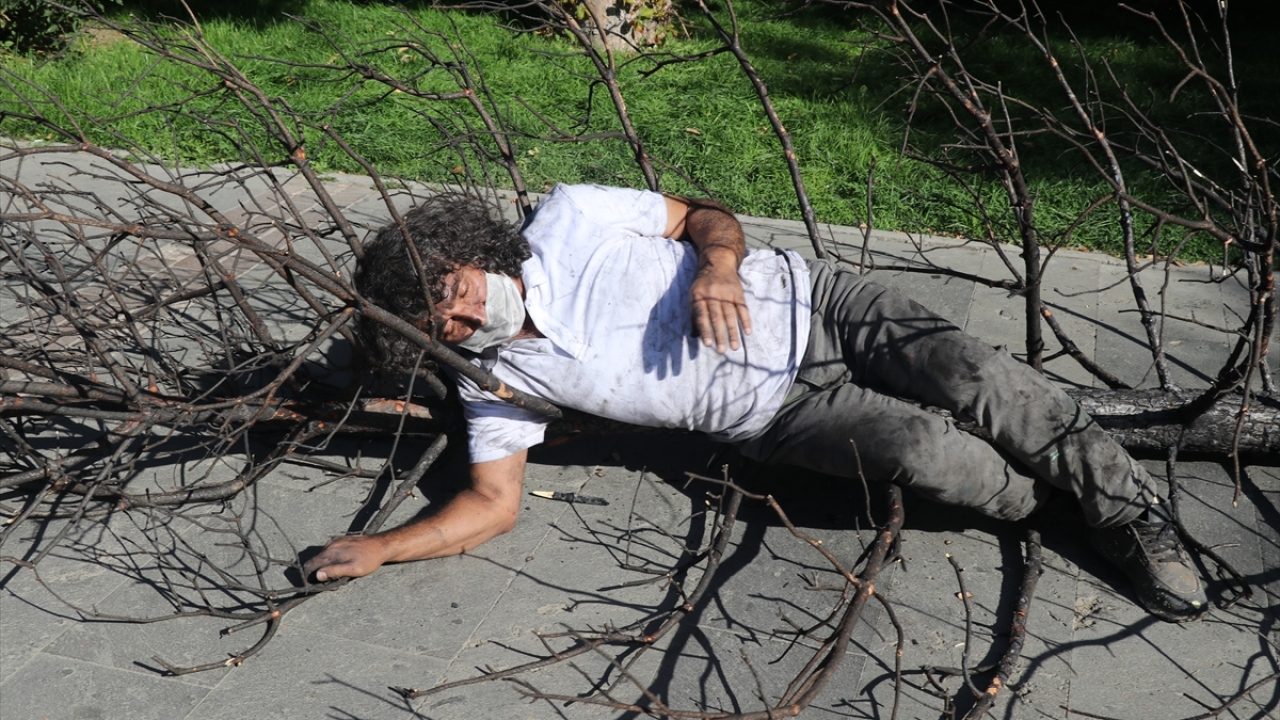 Kavukçu, kent merkezine yaklaşık 15 kilometre uzaklıktaki Elmalı köyü yakınlarında birkaç gün önce çıkan yangında yanan bazı ağaçları keserek yanına aldı.