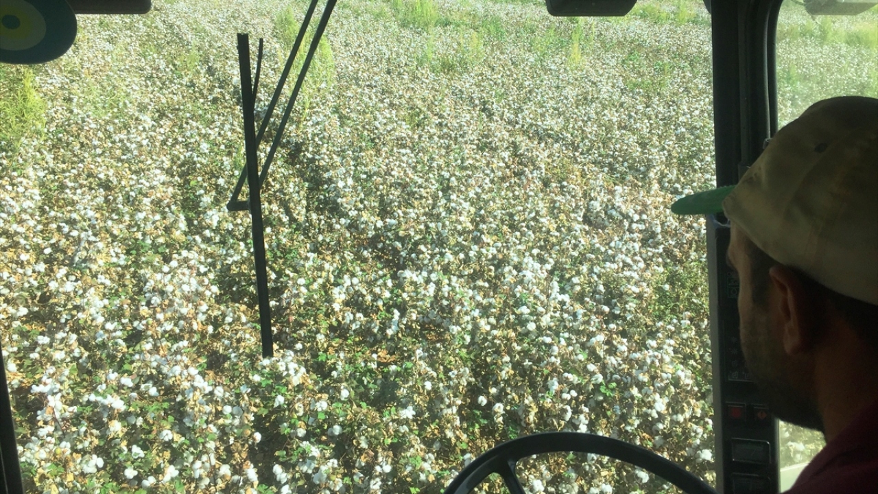 Cengiz, GAP suyunun bölgeye gelmesiyle bütün çiftçilerin rahatlayacağını ve ülke ekonomisine daha büyük katkı sağlayacağını sözlerine ekledi.